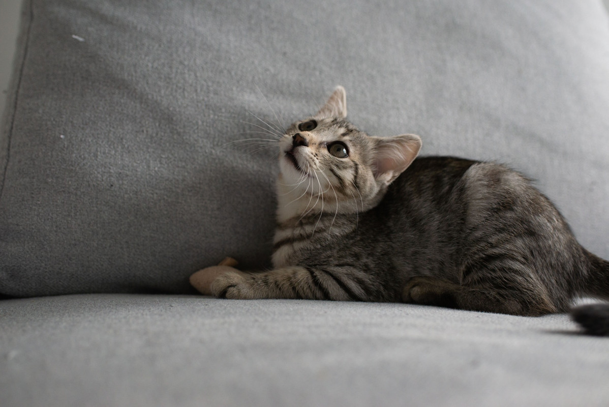 0F393E03-27A4-43BA-A3AB-85E71330C643