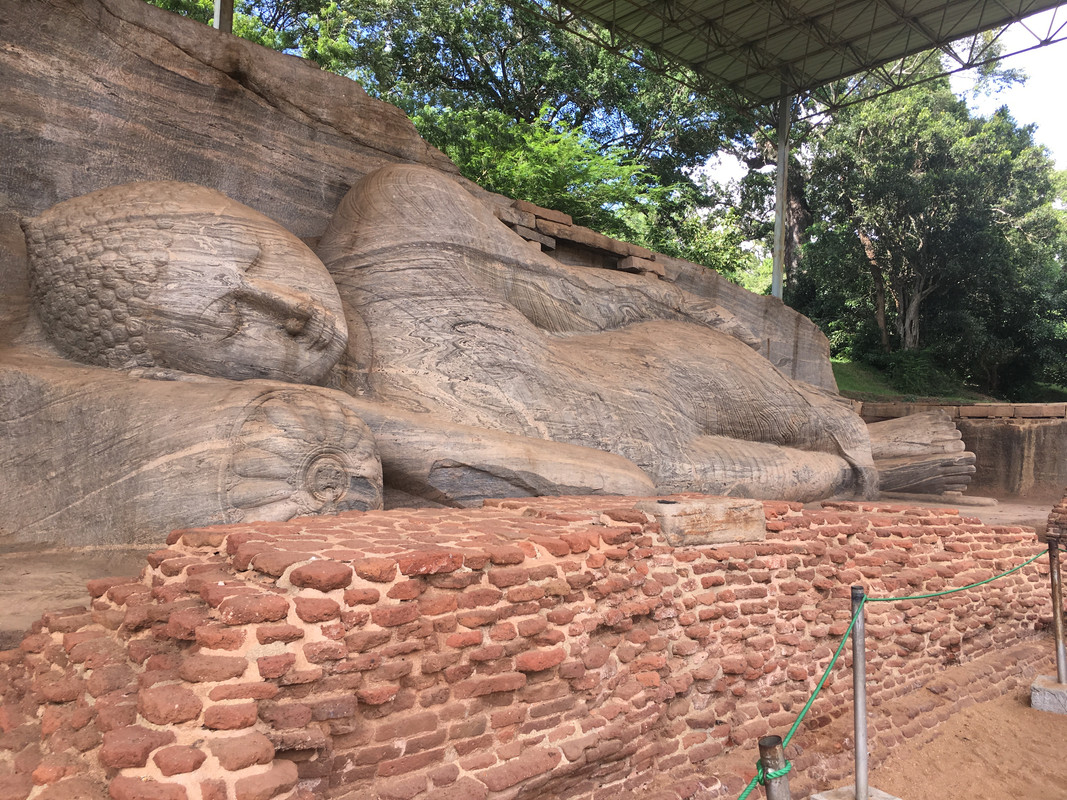Navidad en Sri Lanka - Diciembre 2017 - Blogs de Sri Lanka - 23 de diciembre - Polonnaruwa y Dambulla (1)