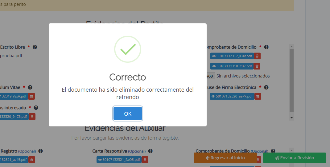 10-2-Observacion-documento-eliminado