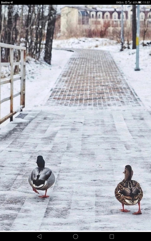 Screenshot_2023-02-03-11-57-56