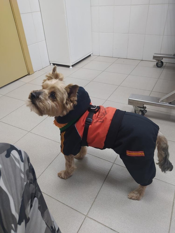 2B6A8A4C-2089-4B67-8766-C5460C8C55D9