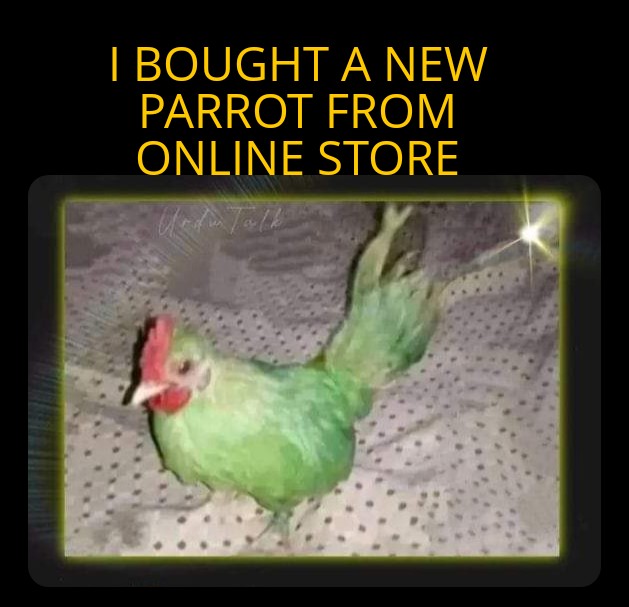 Zombo-Meme-25102023175307.jpg