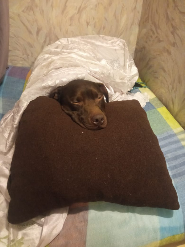 CBDE3AC8-39BE-4FAA-87CD-994A2A62425F