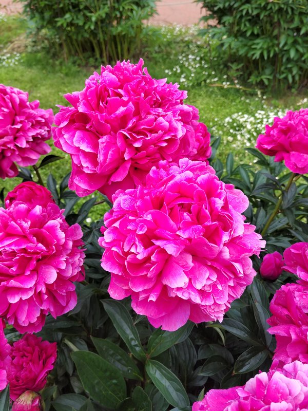 https://i.postimg.cc/CLKtwqcb/038-IMG-20240607-114540.jpg