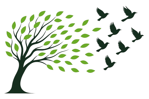 left trees silhouette