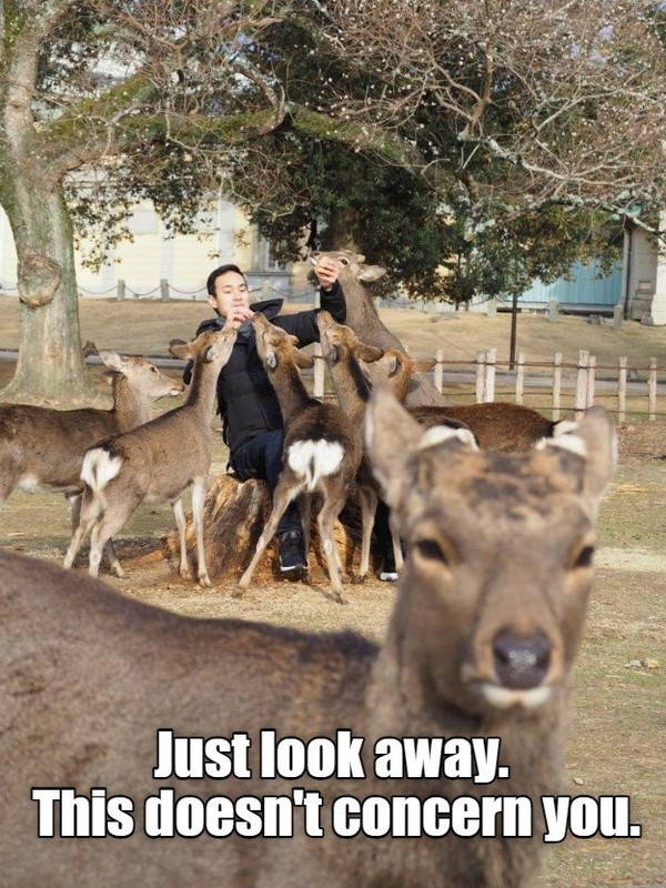 look-away