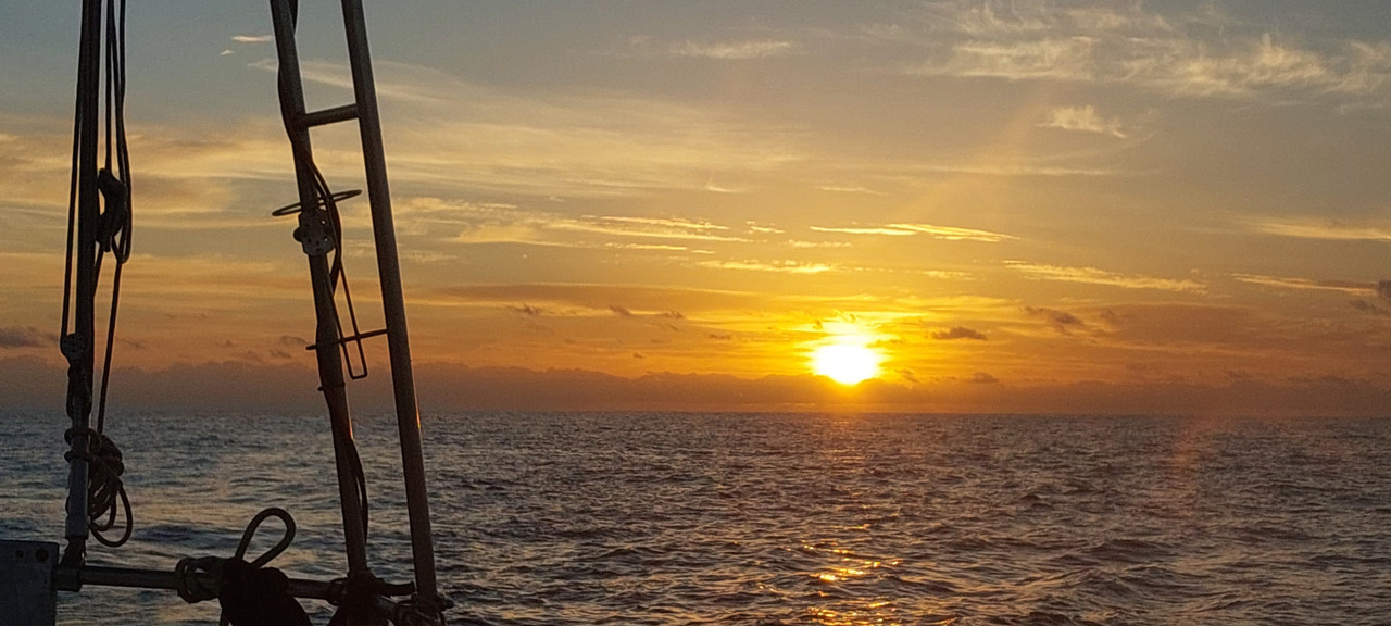 [Imagen: 20251030-072324.jpg]