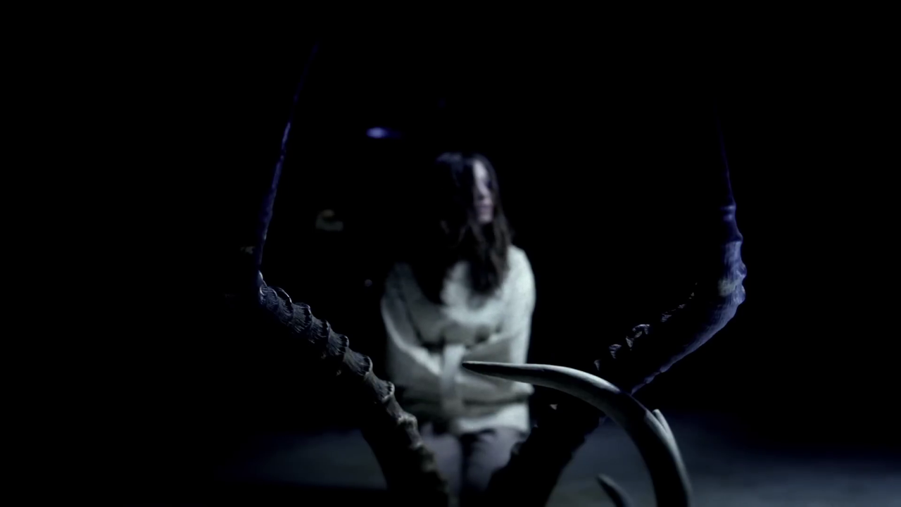 Soundgarden - Been Away Too Long (2)