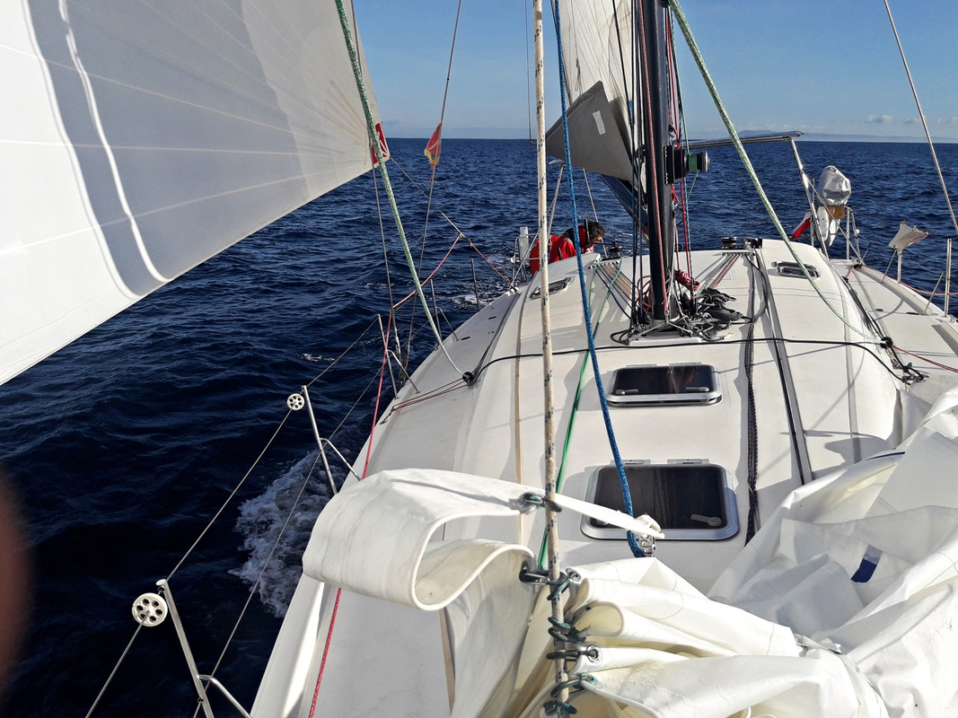 [Imagen: 20200129-165216.jpg]