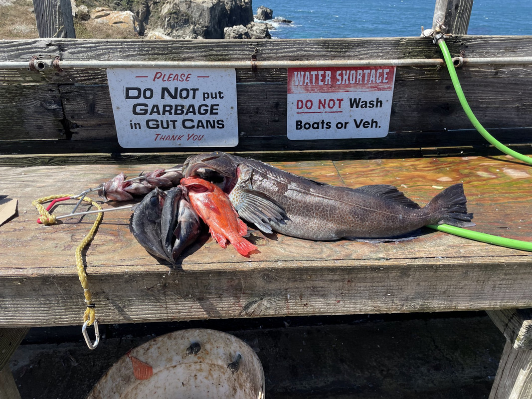 fu35WPHdToeJ45TotMkaNg