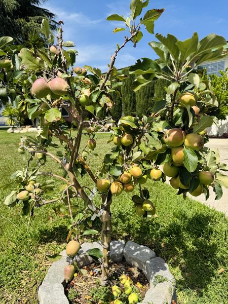 [Image: Full-Size-Render.jpg]