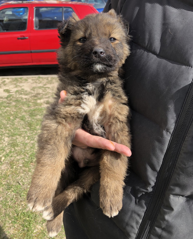 192E603F-D091-4F32-ABEF-603CC30ABD4C