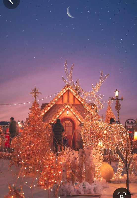 Screenshot_20230910_121528_Pinterest