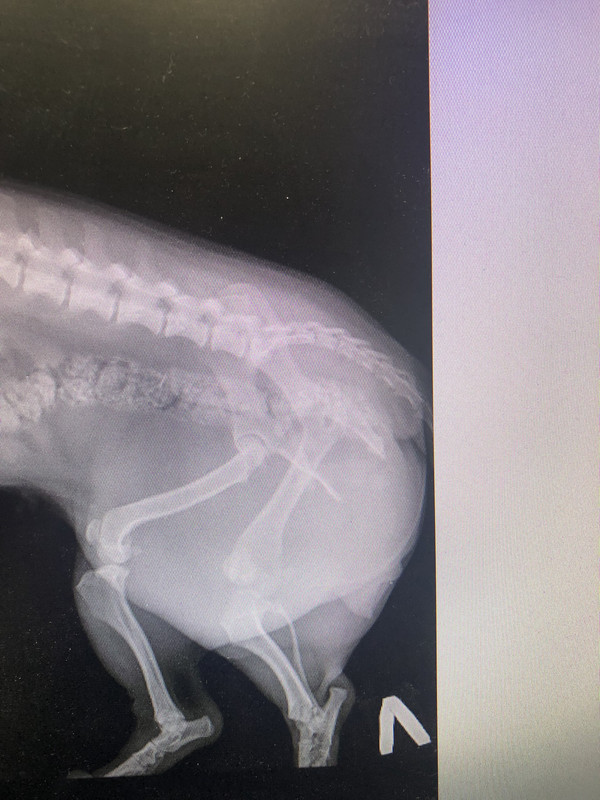 C71F705E-16ED-4BB3-98F3-0FD27C5DB286