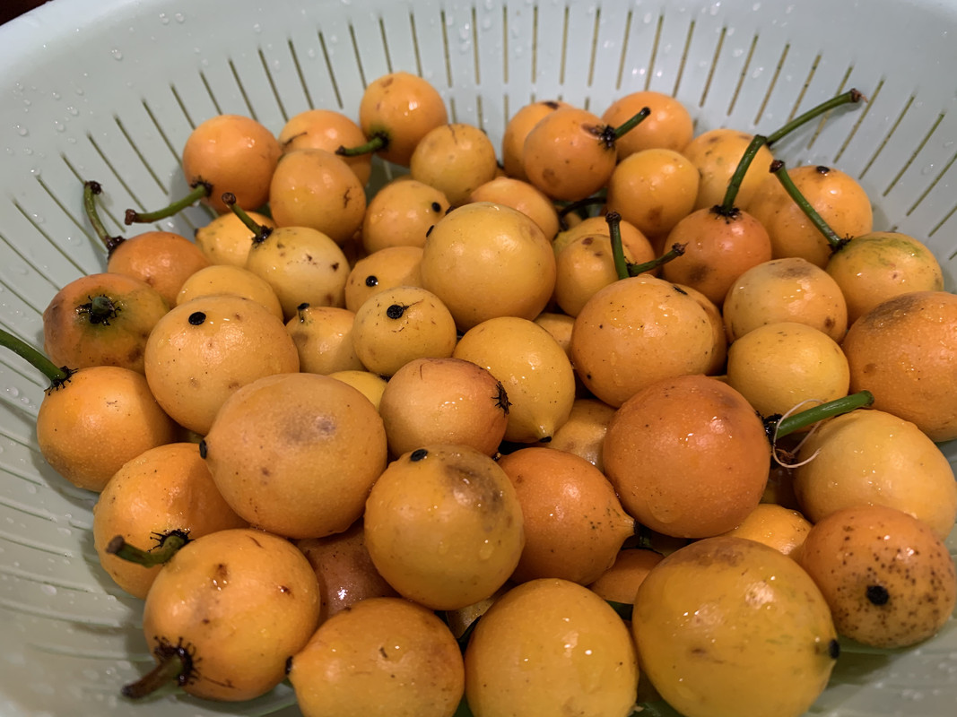 BD485AF7-F367-4C9A-88C9-46468879CFB1