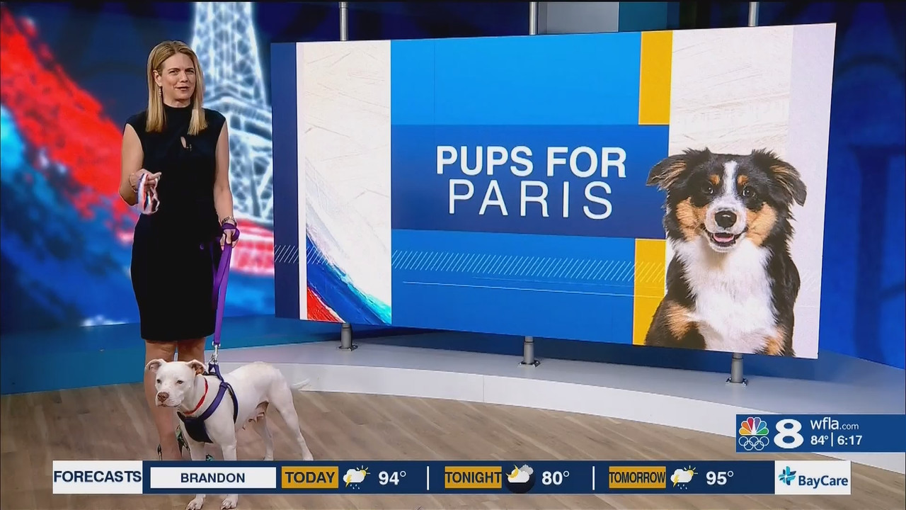 NewsChannel 8 Today at 6a_20240807_11001200.ts_snapshot_00.18.19.168