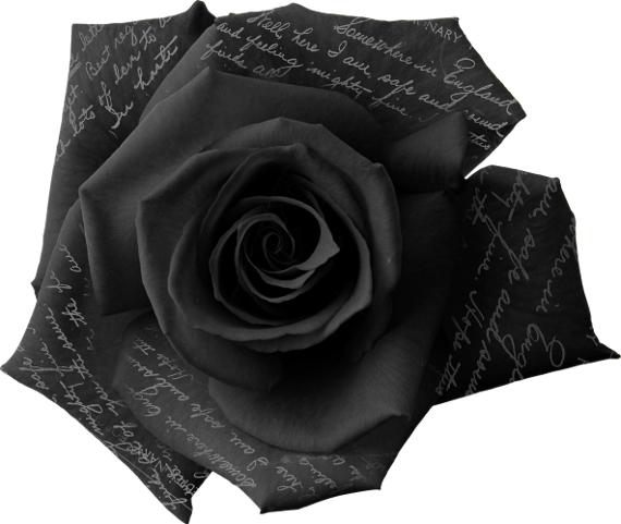 Autumn Witchery (96)