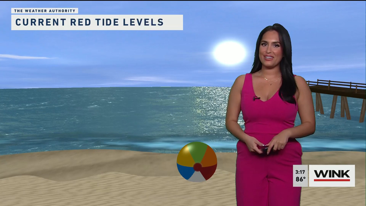 03.24 - 19.00.00 - WINK News at 3pm  ᴺᵉʷ..ts_snapshot_00.18.21.144