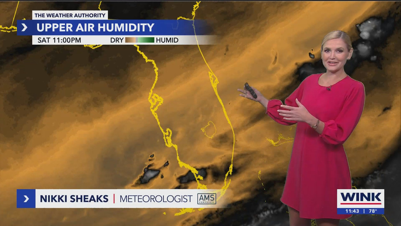 WINK News at 11_20240922_04000500.ts_snapshot_00.45.19.609