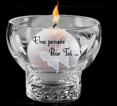 [Image: 6979a87c0ba89a098384c3202e234709-animate...rflies.jpg]