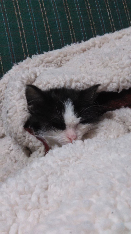 IMG_20150101_163601_zpsyw0br7wf