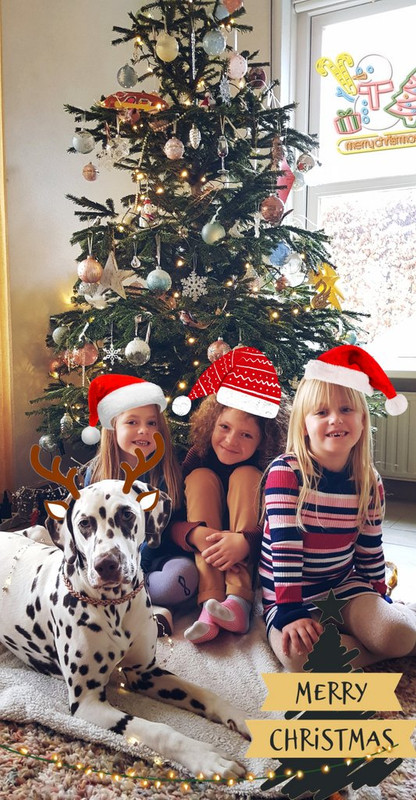 PicsArt_12-18-01.18.59