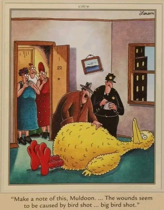 1679188583064.jpg