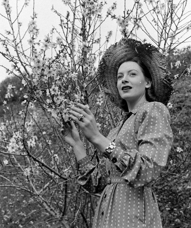 Deborah_Kerr_mc02