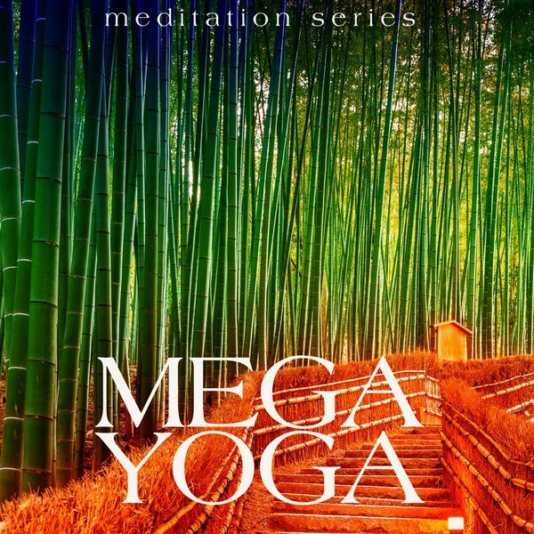VA - Mega Yoga (Meditation Series) (2021)