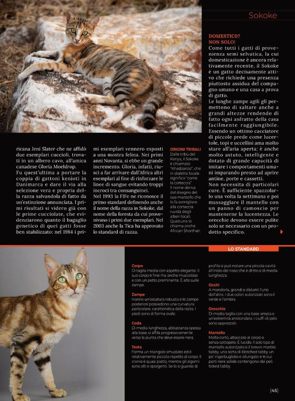 Ga Ma Giu-Lug 2022 (6)