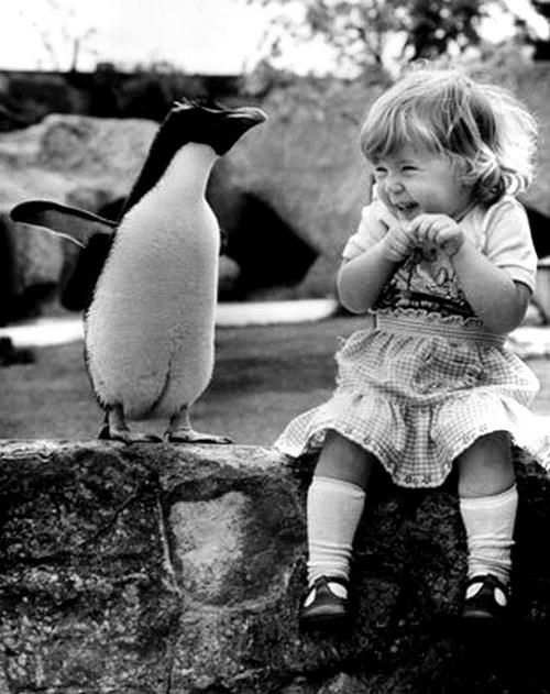 blacknwhitebabypenguin.jpg