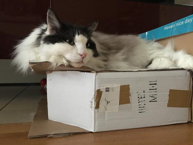 9-C10-CCD8-62-F9-411-B-A06-A-55-ACC48-A5