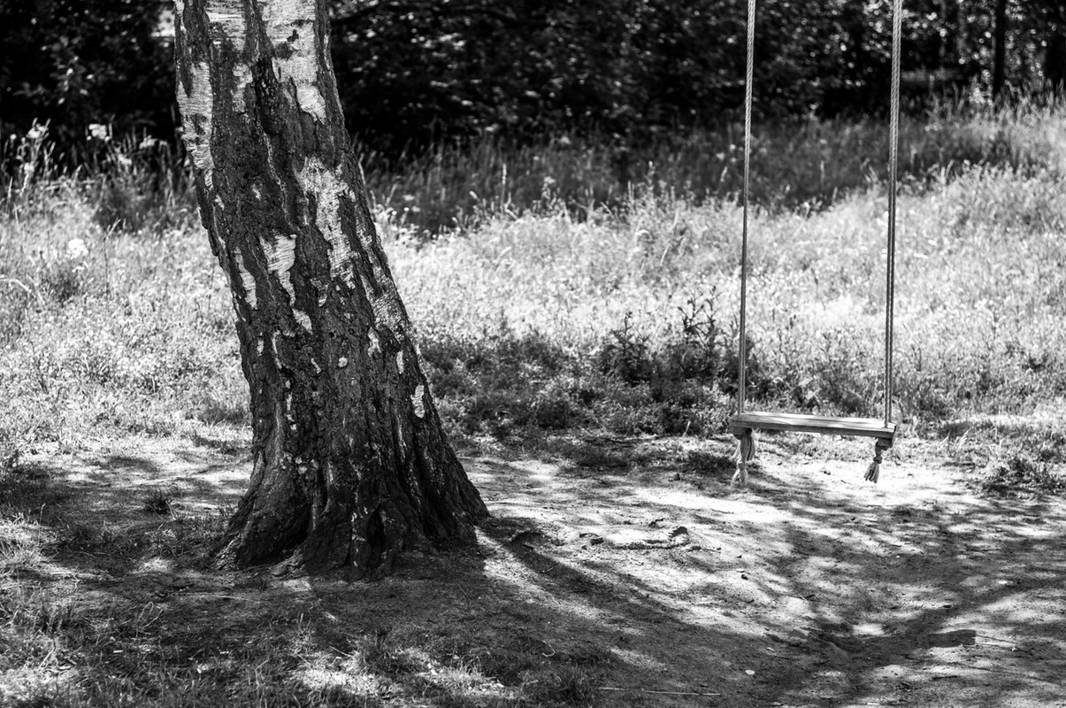 black-n-white-tree-sw-ing-dis.jpg