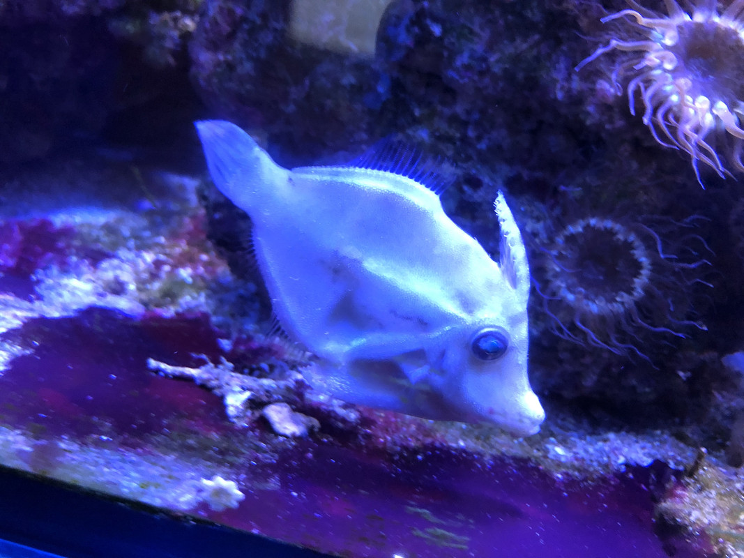 EA14BE79-9FB6-465C-8B93-97C0160EB605