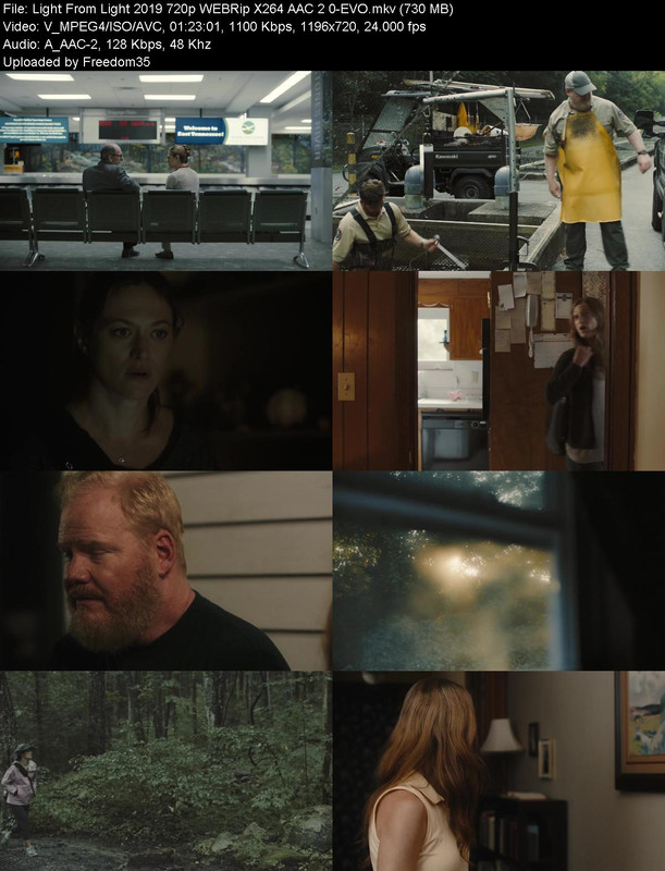 Light-From-Light-2019-720p-WEBRip-X264-A