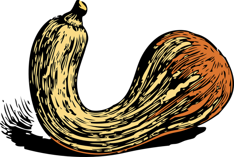 Halloweenpumpkinkitpudnpumpkins