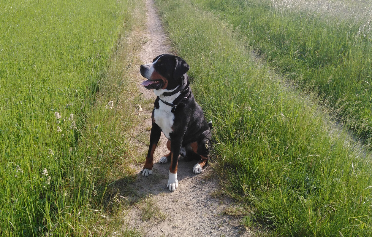 IMG_20190604_180015 (2)