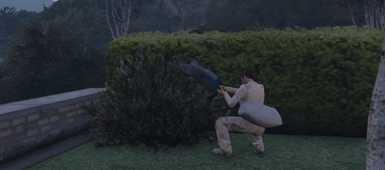 ra7.png