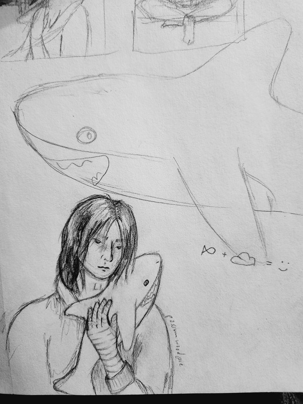 pencil sketch of Jigsaw (fka Bucky) holding a plushie shark