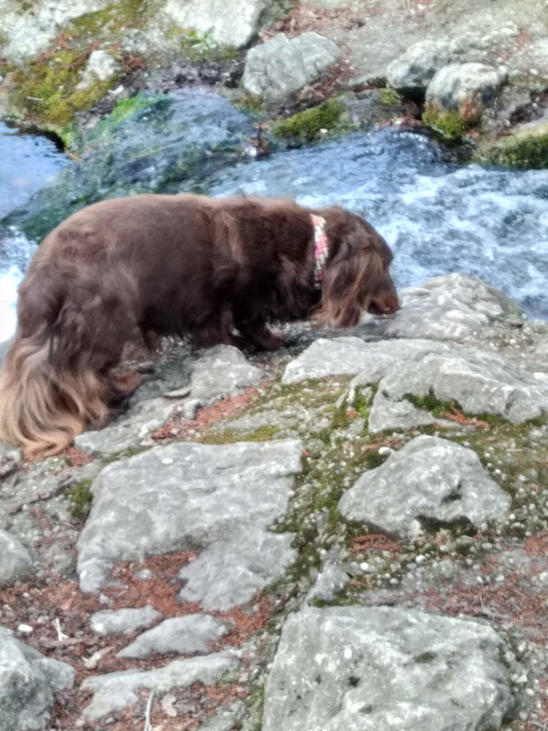 [Image: IMG-20220330-141122.jpg]