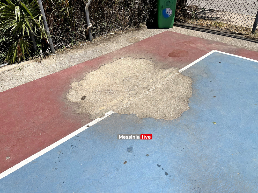 ΓΗΠΕΔΑimage00014