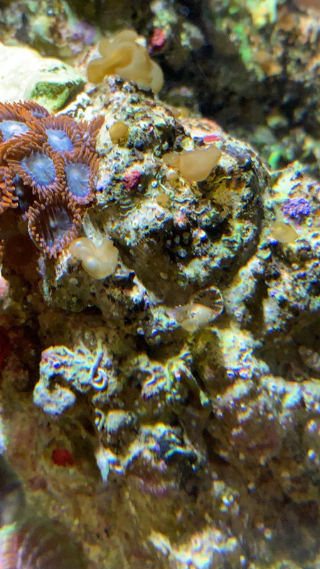 FAABECCC-BCB4-4240-899F-D26081819010