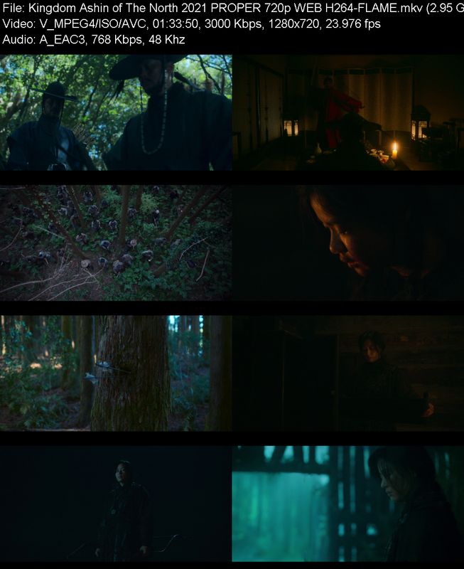 kingdom-ashin-of-the-north-2021-proper-7