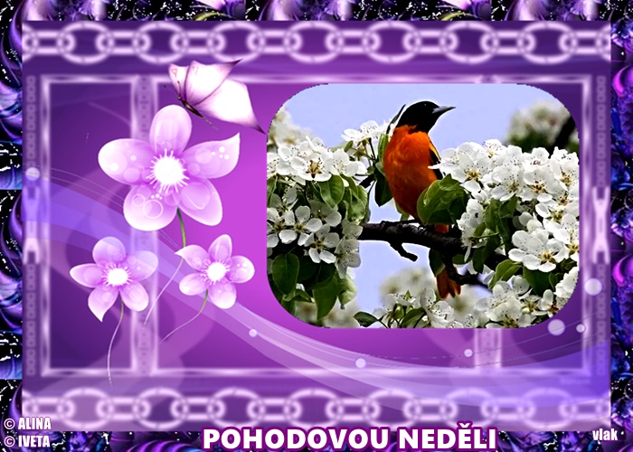 An den Beitrag angehängtes Bild: https://i.postimg.cc/CLQ4f4B3/10-4.jpg