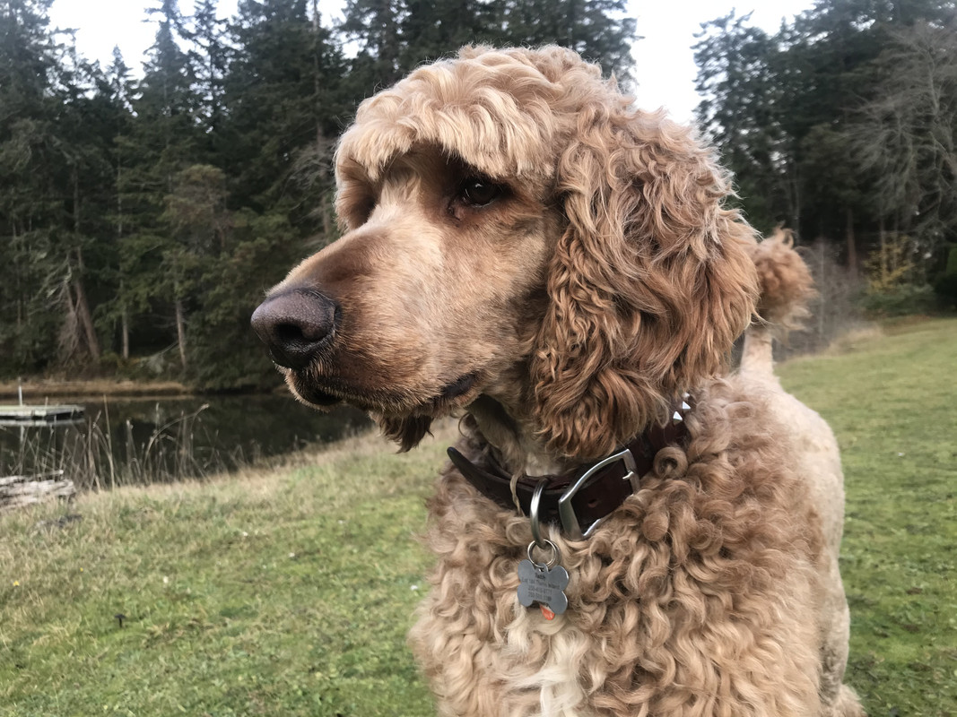 BDC7858B-0CC8-47A5-8A27-A6B37A8BD0AD