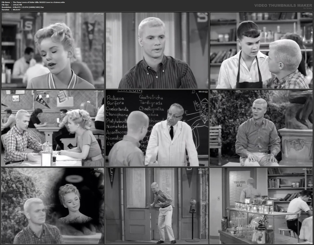 The Many Loves of Dobie Gillis S01E03 Love is a Science.mkv