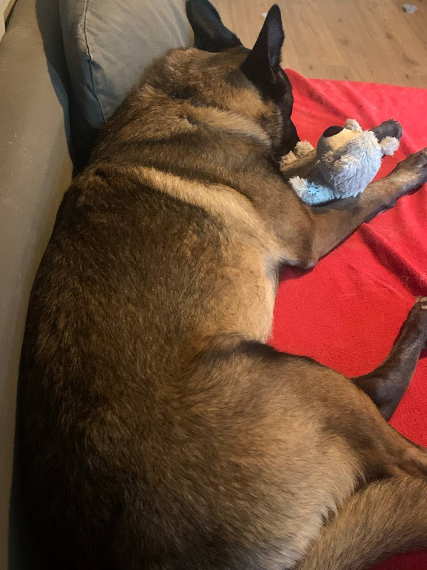 photo 2025 12 11 20 30 14