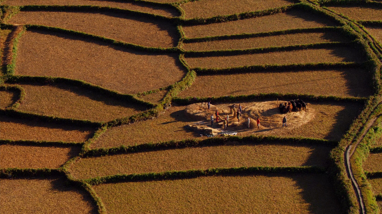 Home (2009).mkv_snapshot_00.30.07_[2018.03.13_00.00.36]