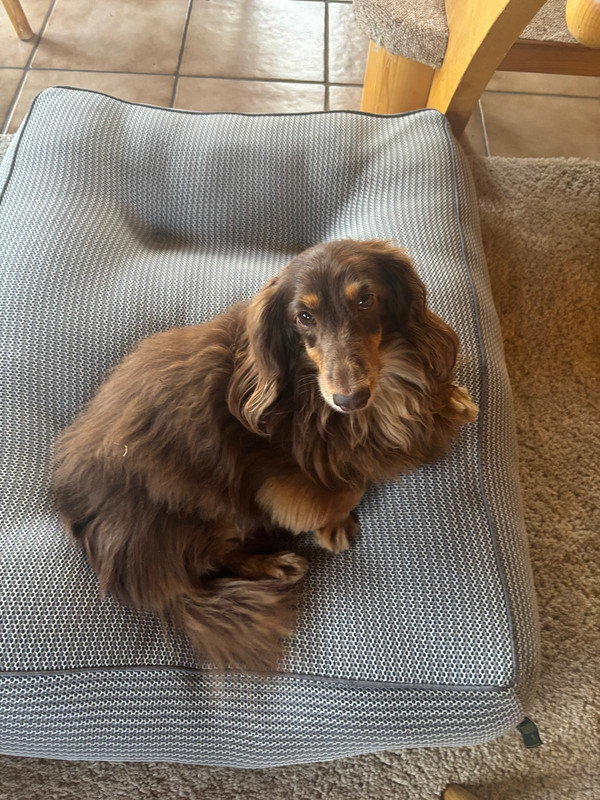 [Image: IMG-20250612-WA0041.jpg]