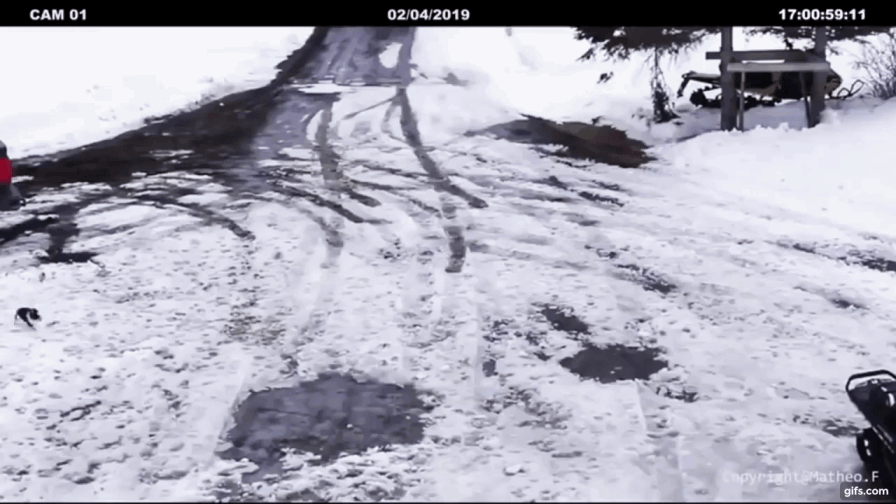 gif-22-1.gif